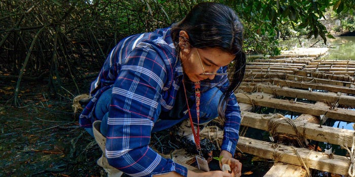 A woman wearing glasses and a blue plaid shirt leans on a wooden structure in the grass to plant mangrove seedlings in Ecuador.